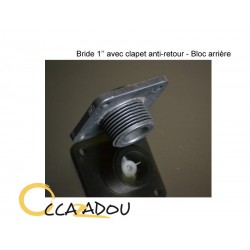 BRIDE + CLAPET 1'' CLAPET ANTI-RETOUR